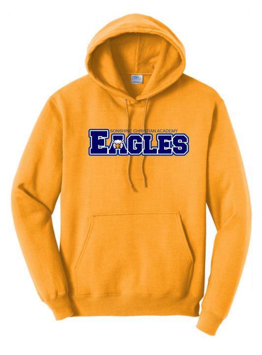 SONSHINE ADULT AND CHILD HEAVYWEIGHT HOODIE -  PICK YOUR DESIGN